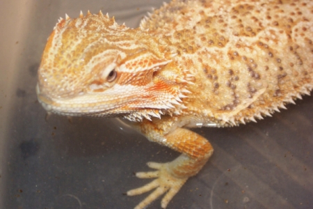 17C