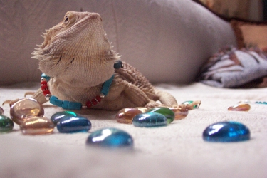 Sandynecklace